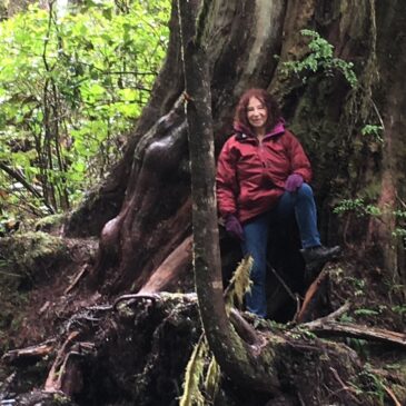 Kids and tall trees, blue skies and mighty seas
