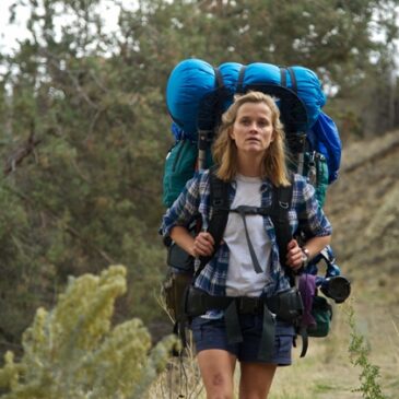 Wild: the journey and adventure of being a mom